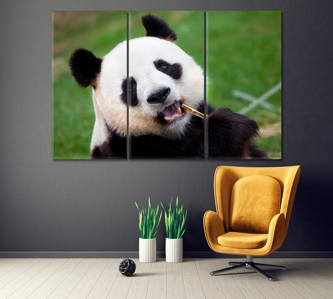 Giant Panda Canvas Print ArtLexy 3 Panels 36"x24" inches 