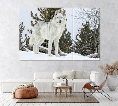 Wild Gray Wolf Canvas Print ArtLexy 3 Panels 36"x24" inches 