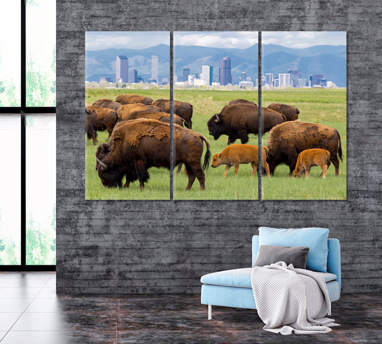 Buffalo Herd near Denver Canvas Print ArtLexy   