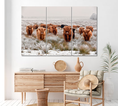 Scottish Highland Cow Canvas Print ArtLexy 3 Panels 36"x24" inches 