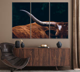 Texas Longhorn Cow Canvas Print ArtLexy 3 Panels 36"x24" inches 