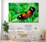 Postman Butterfly (Heliconius Melpomene) Canvas Print ArtLexy 3 Panels 36"x24" inches 