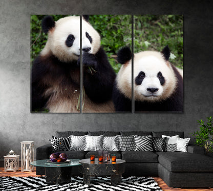 Two Panda Bear Eating Bamboo Canvas Print ArtLexy 3 Panels 36"x24" inches 