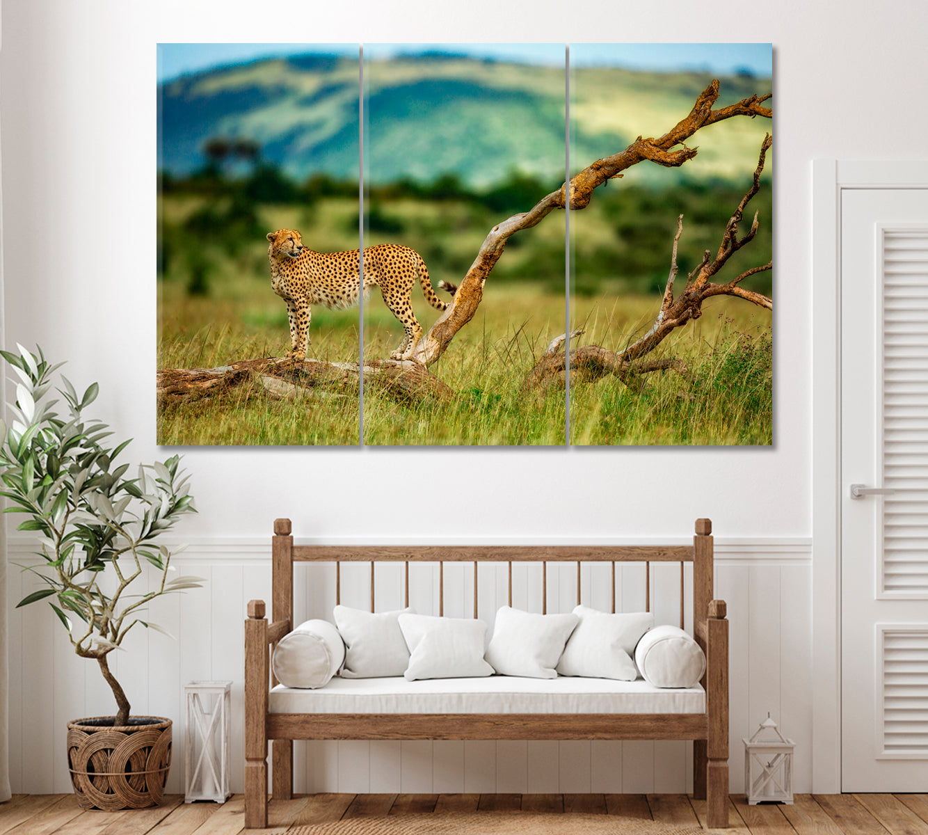 Cheetah in Masai Mara Kenya Canvas Print ArtLexy 3 Panels 36"x24" inches 