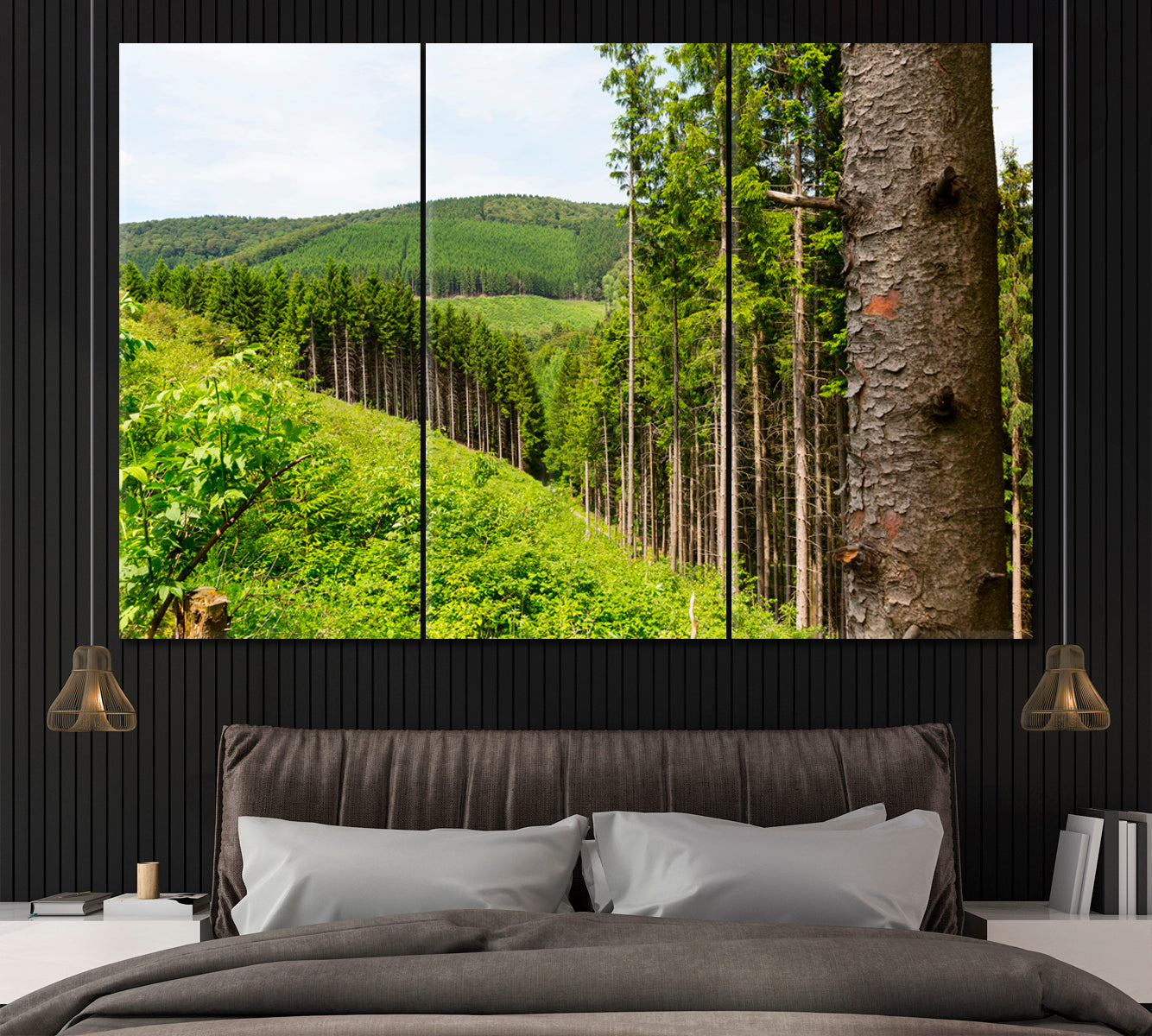 Sauerland Forest Germany Canvas Print ArtLexy 3 Panels 36"x24" inches 