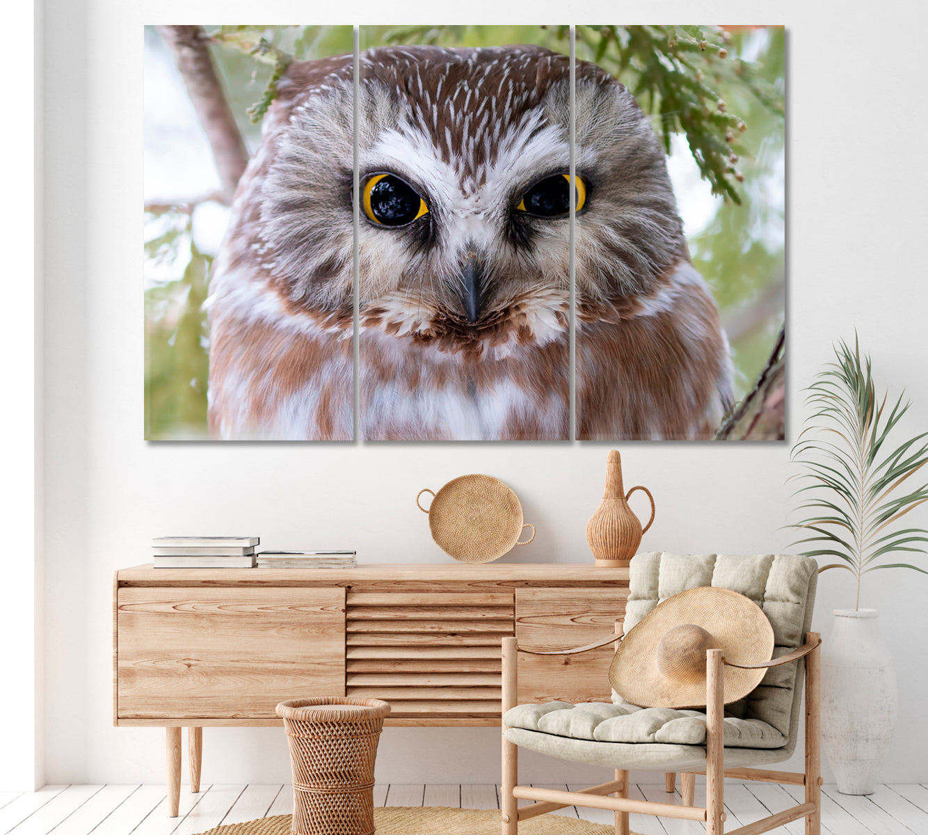 Saw-Whet Owl Canada Canvas Print ArtLexy 3 Panels 36"x24" inches 