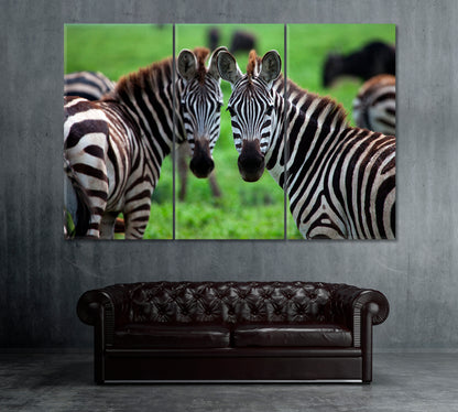 Zebras in Serengeti National Park Tanzania Canvas Print ArtLexy 3 Panels 36"x24" inches 