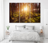 Deep Forest with Sun Rays Canvas Print ArtLexy 3 Panels 36"x24" inches 