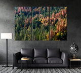 Pine Trees Forest in Autumn Canvas Print ArtLexy 3 Panels 36"x24" inches 