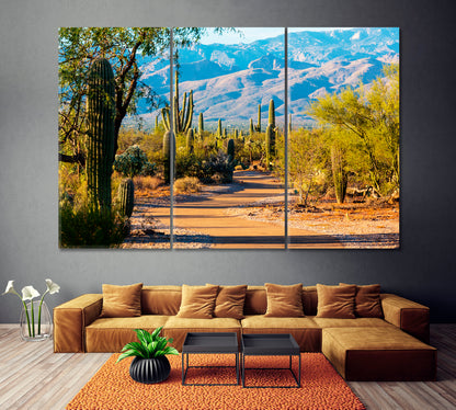Saguaro National Park Arizona USA Canvas Print ArtLexy 3 Panels 36"x24" inches 