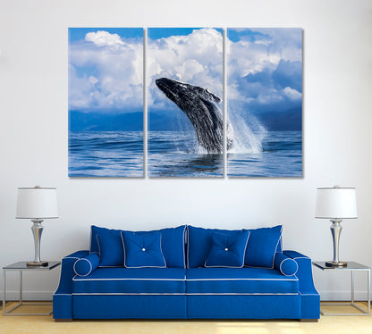 Humpback Whale Costa Rica Canvas Print ArtLexy   