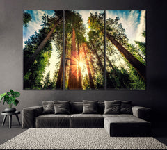 Giant Sequoias Yosemite National Park Canvas Print ArtLexy 3 Panels 36"x24" inches 