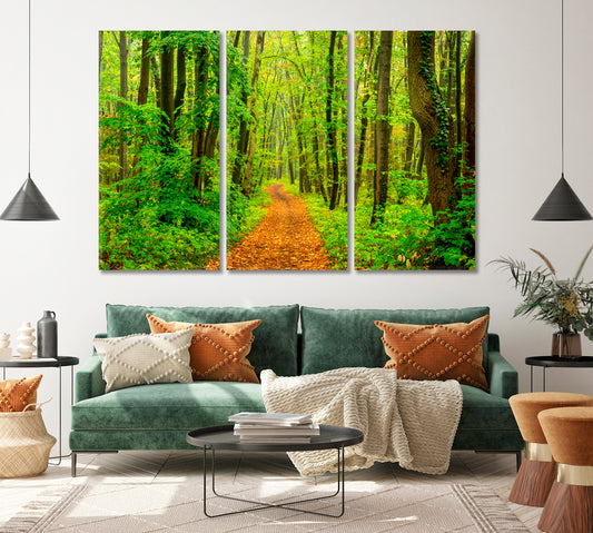 Footpath in Forest Canvas Print ArtLexy   