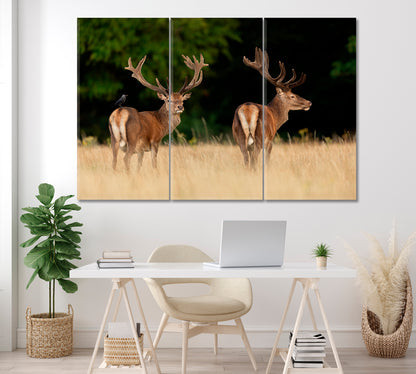 Red Deer in Forest Canvas Print ArtLexy 3 Panels 36"x24" inches 