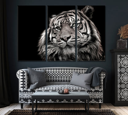 Black and White Tiger Portrait Canvas Print ArtLexy   