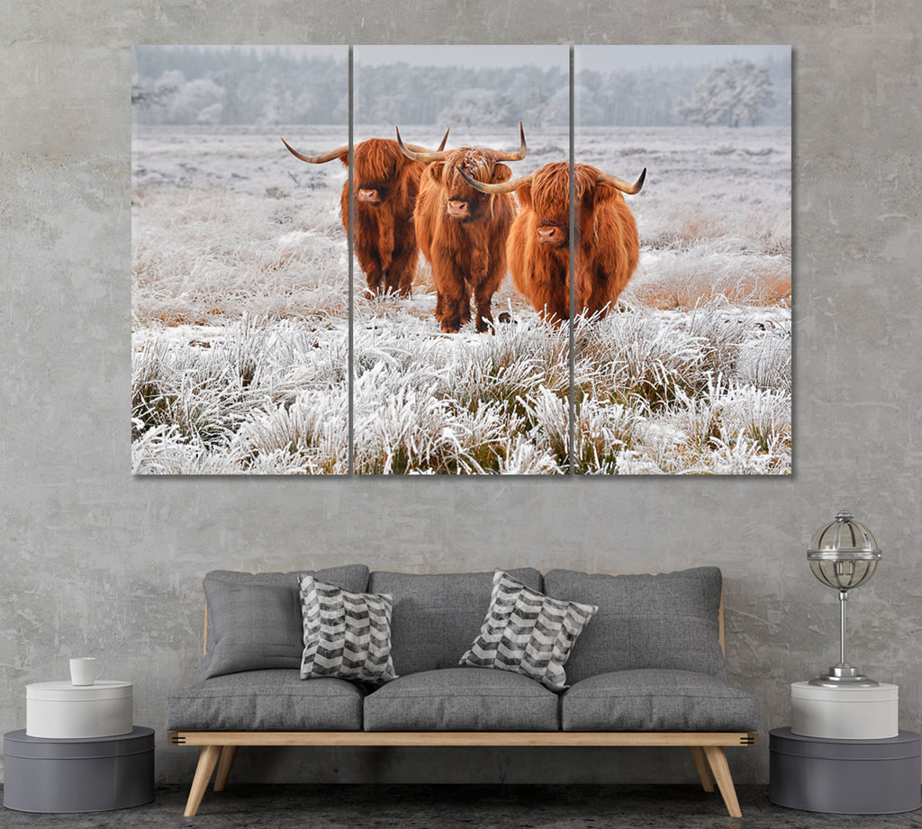 Scottish Highlanders Cows Canvas Print ArtLexy 3 Panels 36"x24" inches 