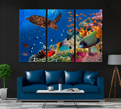 Red Sea Colorful Coral Reef with Fishes and Turtle Egypt Canvas Print ArtLexy 3 Panels 36"x24" inches 