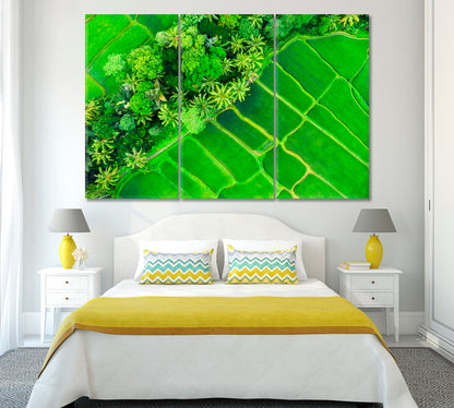 Rice Terraces in Summer Bali Indonesia Canvas Print ArtLexy 3 Panels 36"x24" inches 