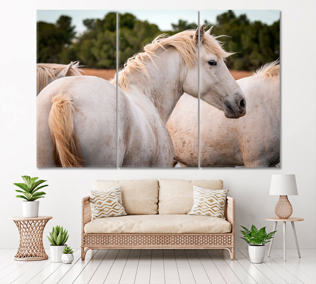 Herd of White Horses Camargue France Canvas Print ArtLexy 3 Panels 36"x24" inches 