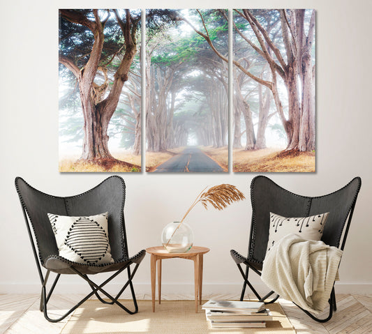 Misty Tree Tunnel Canvas Print ArtLexy 3 Panels 36"x24" inches 