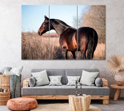 Brown Horse in Field Canvas Print ArtLexy 3 Panels 36"x24" inches 