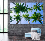 Palm Trees Rio de Janeiro Brazil Canvas Print ArtLexy 3 Panels 36"x24" inches 