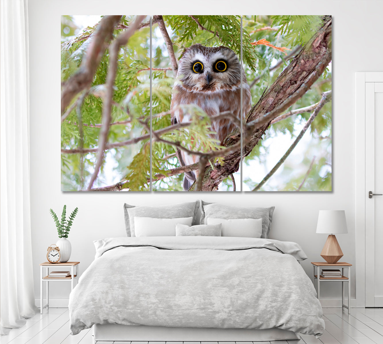 Northern Saw-Whet Owl Canvas Print ArtLexy 3 Panels 36"x24" inches 