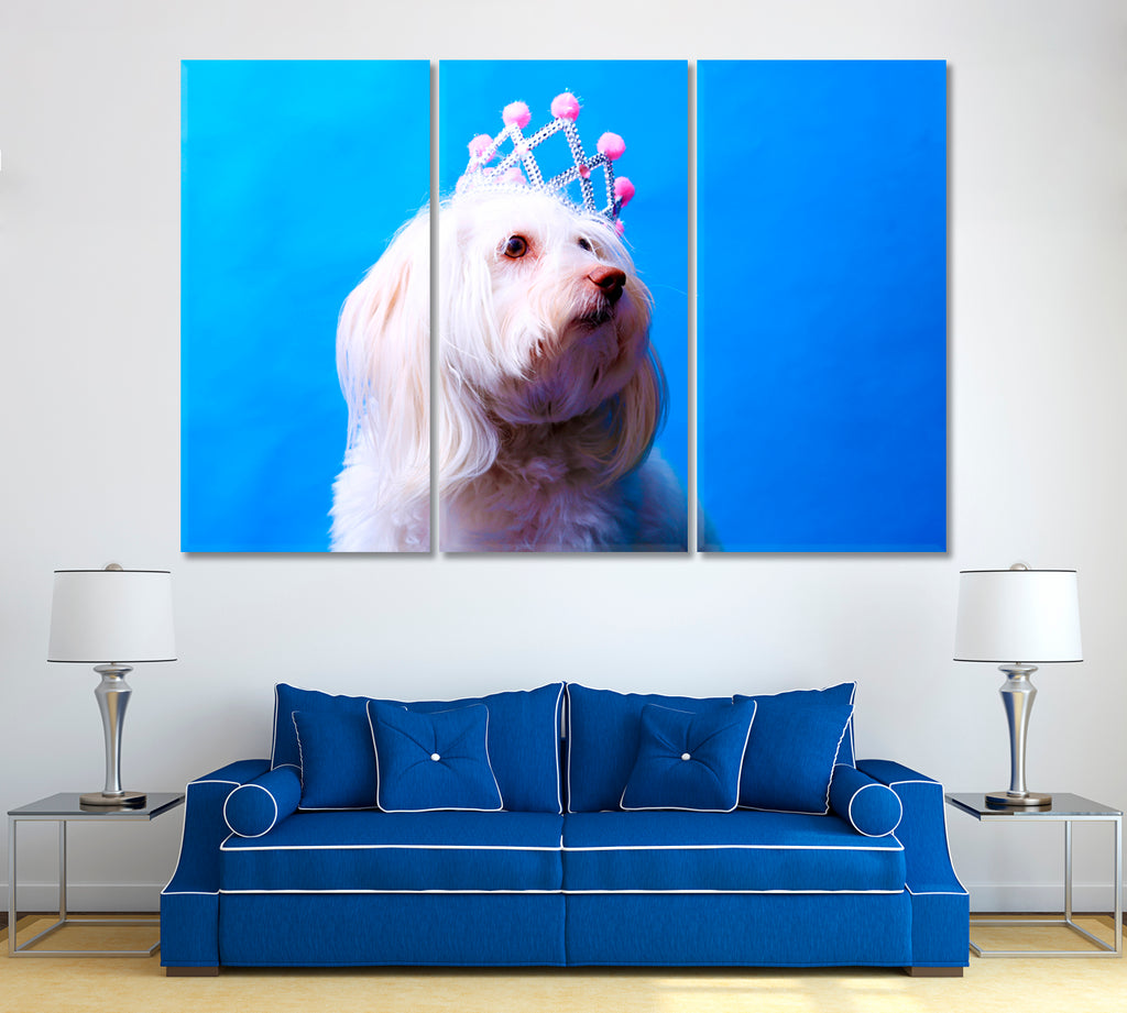 Maltese Dog with Crown Canvas Print ArtLexy 3 Panels 36"x24" inches 
