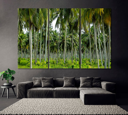 Coconut Palm Tree Plantation Canvas Print ArtLexy 3 Panels 36"x24" inches 