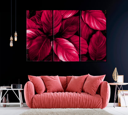 Red Leaves of Spathiphyllum Cannifolium Canvas Print ArtLexy 3 Panels 36"x24" inches 