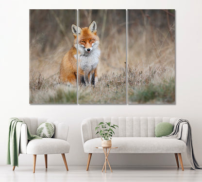 Red Fox in Meadow Canvas Print ArtLexy 3 Panels 36"x24" inches 