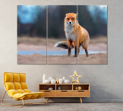 Funny Red Fox Canvas Print ArtLexy 3 Panels 36"x24" inches 
