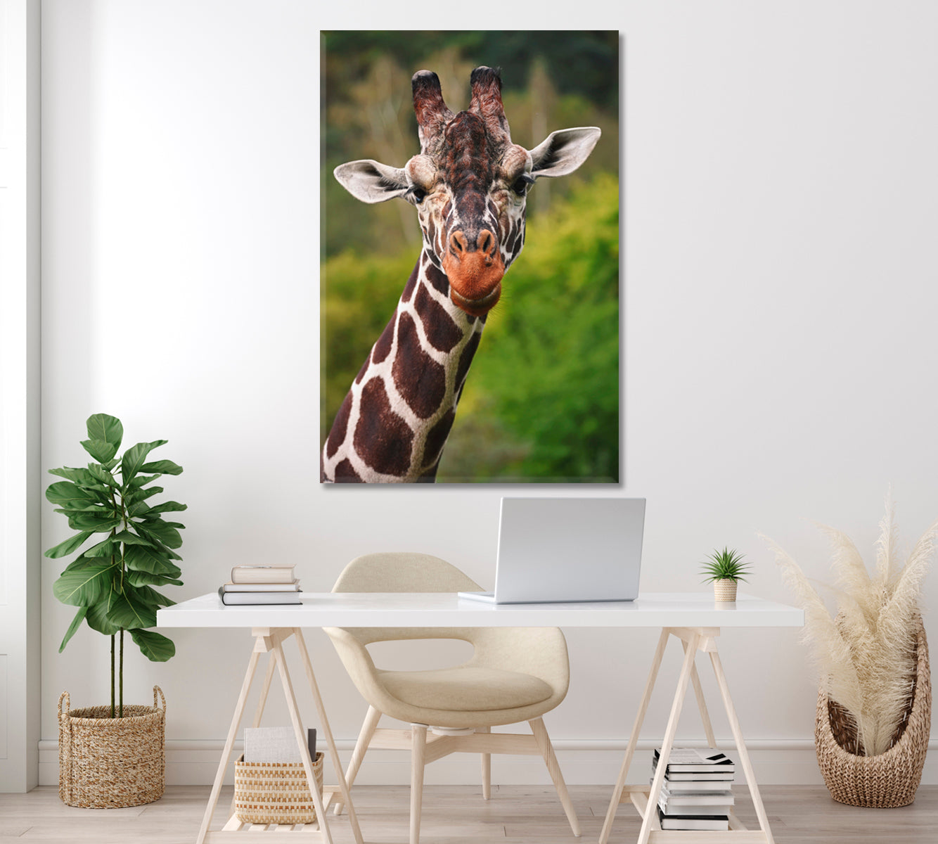 Rothschild Giraffe Canvas Print ArtLexy   