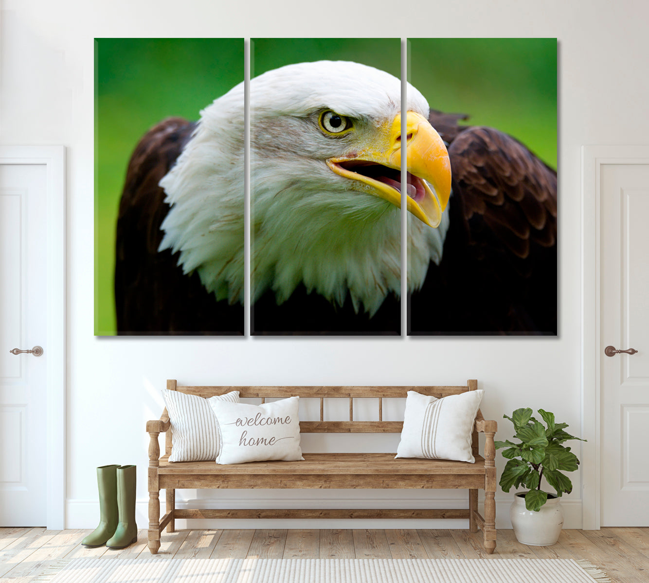 Bald Eagle Portrait Canvas Print ArtLexy 3 Panels 36"x24" inches 
