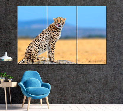 African Cheetah Masai Mara National Park Kenya Africa Canvas Print ArtLexy 3 Panels 36"x24" inches 