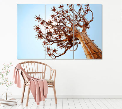 Quiver Tree Namibia Canvas Print ArtLexy 3 Panels 36"x24" inches 
