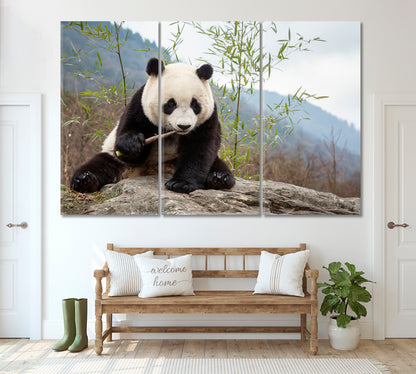 Panda Eating Bamboo Canvas Print ArtLexy 3 Panels 36"x24" inches 
