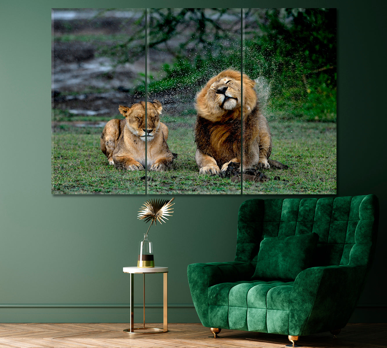 Lions under Rain in Ngorongoro Conservation Area Tanzania Canvas Print ArtLexy 3 Panels 36"x24" inches 