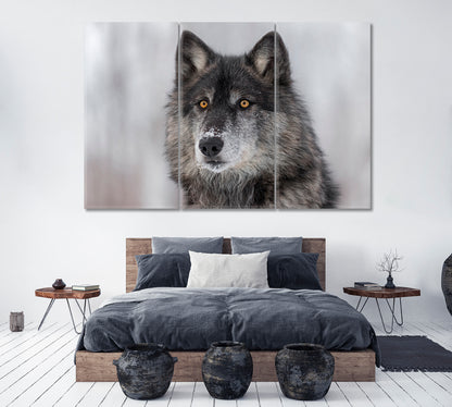 Grey Wolf Portrait Canvas Print ArtLexy 3 Panels 36"x24" inches 