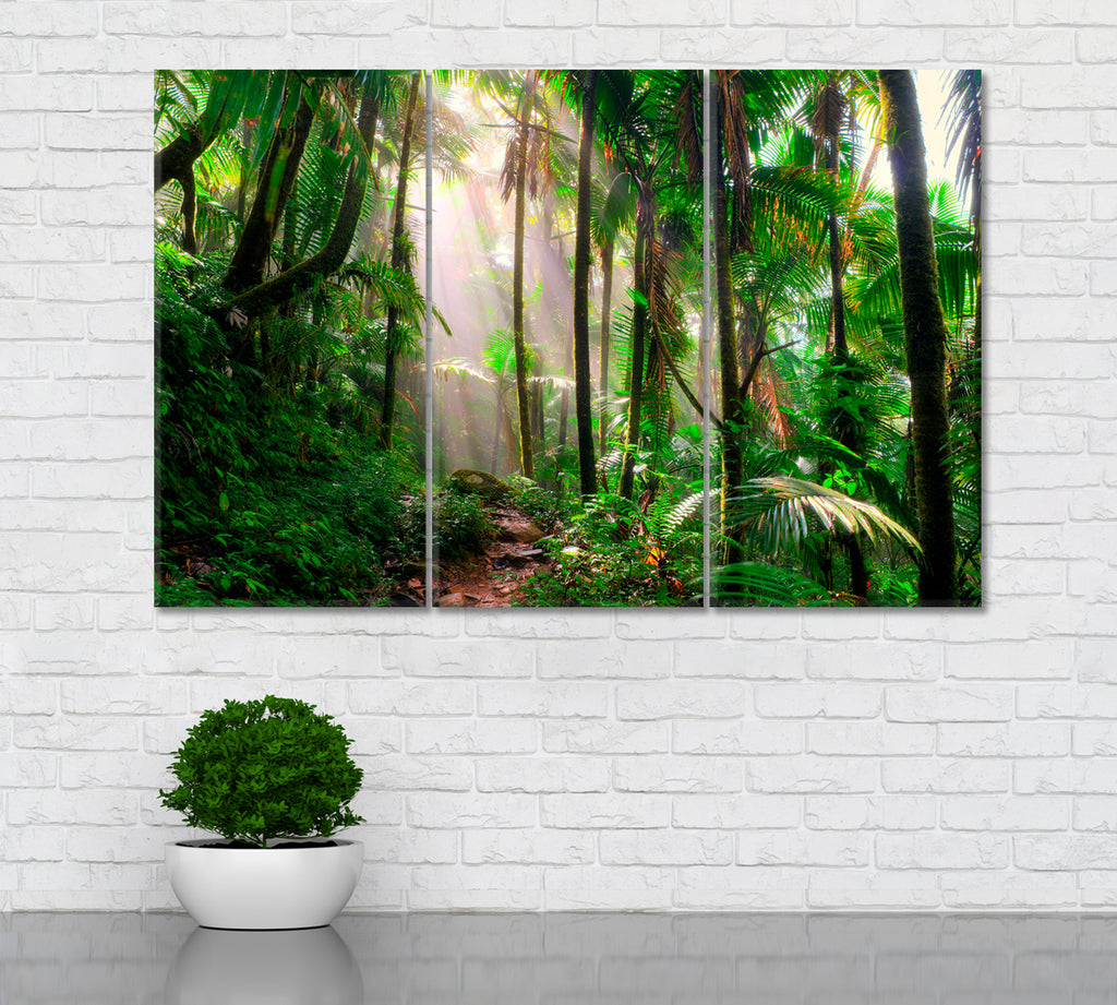 El Yunque National Forest Puerto Rico Canvas Print ArtLexy 3 Panels 36"x24" inches 