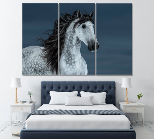 Portrait of Andalusian Horse Canvas Print ArtLexy 3 Panels 36"x24" inches 