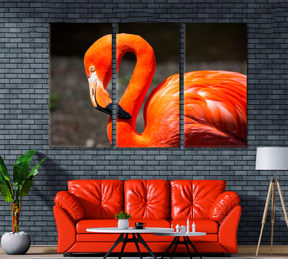 American Flamingo Canvas Print ArtLexy 3 Panels 36"x24" inches 
