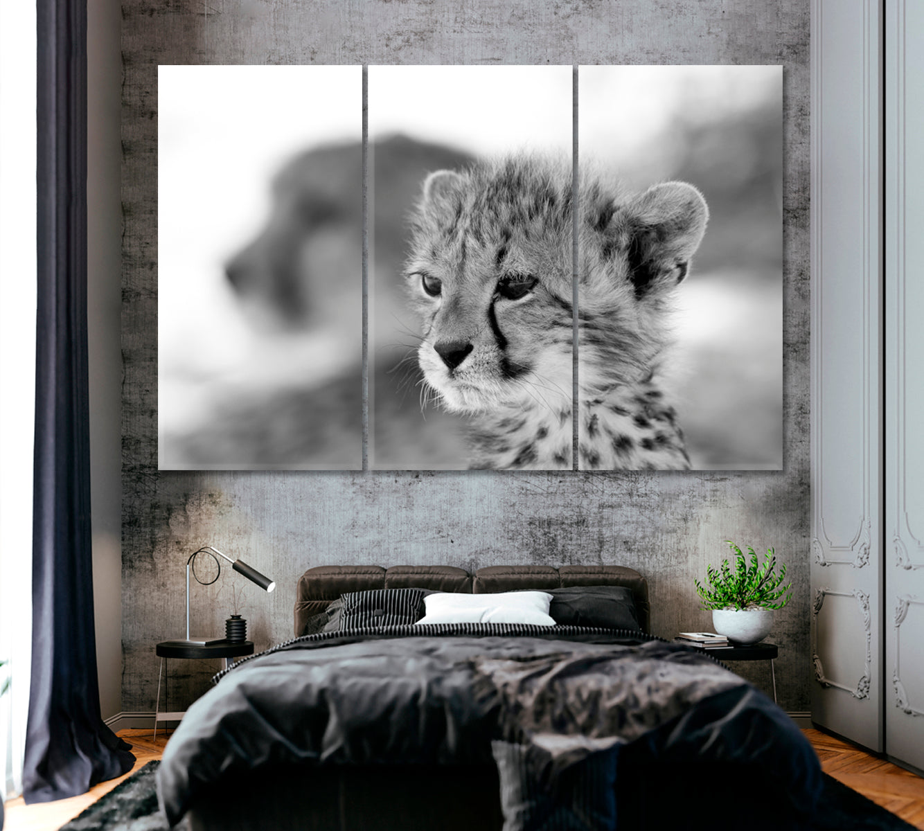Cheetah Cub South Africa Canvas Print ArtLexy 3 Panels 36"x24" inches 
