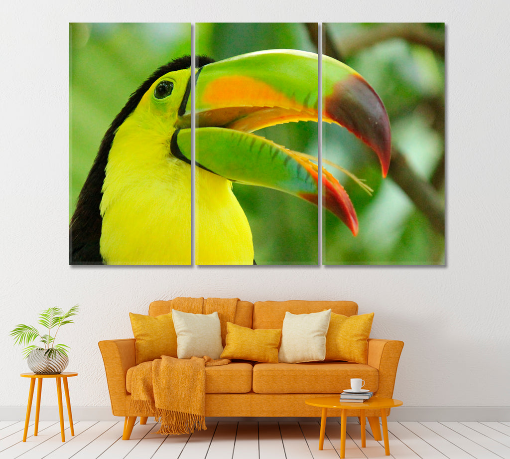 Keel Billed Toucan Canvas Print ArtLexy 3 Panels 36"x24" inches 