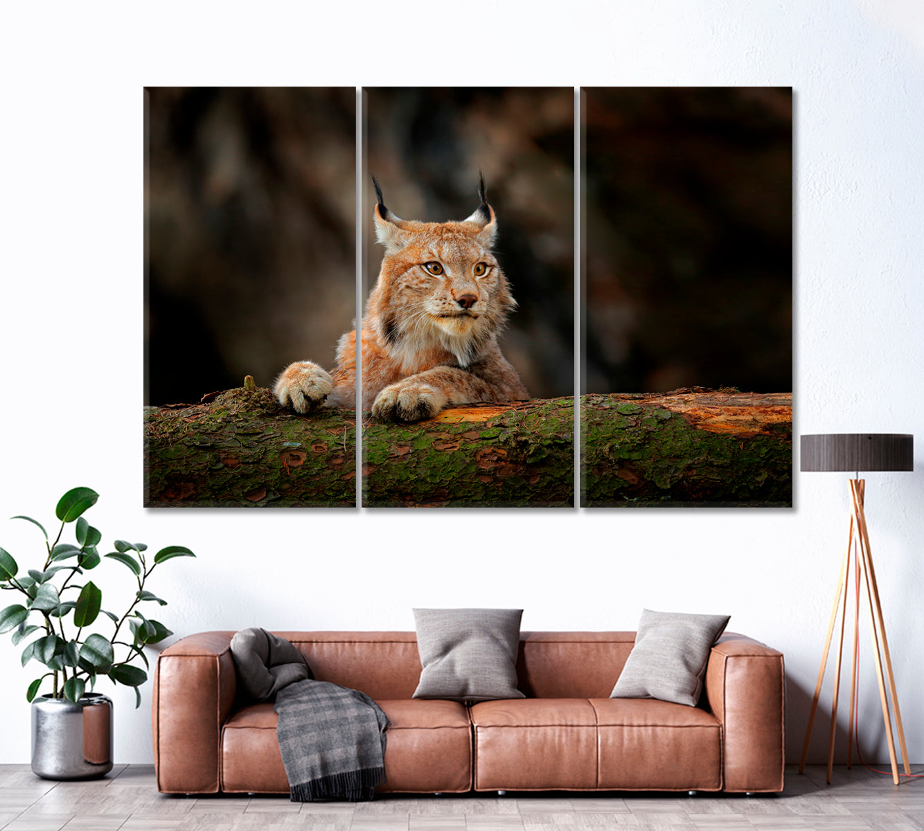 Lynx in Forest Canvas Print ArtLexy 3 Panels 36"x24" inches 