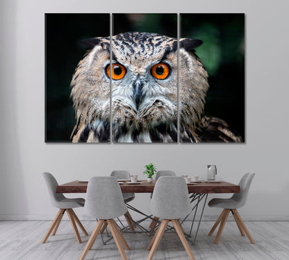 Owl with Orange Eyes Canvas Print ArtLexy 3 Panels 36"x24" inches 