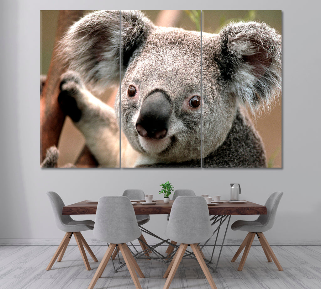 Koala on Tree Canvas Print ArtLexy 3 Panels 36"x24" inches 