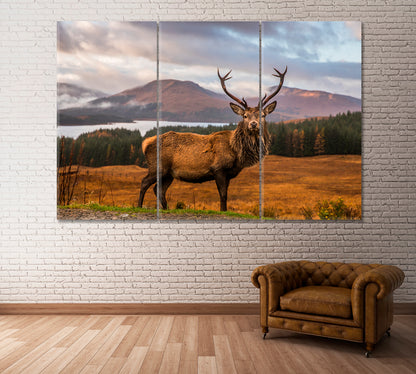Wild Scottish Stag in Natural Habitat Canvas Print ArtLexy 3 Panels 36"x24" inches 