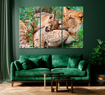 Lions Playing in Kenya Lake Nakuru National Park Canvas Print ArtLexy   