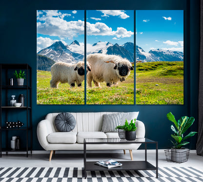 Valais Blacknose Sheep Valais Alps Canvas Print ArtLexy 3 Panels 36"x24" inches 